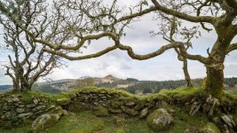 004 Leather Tor from Middleworth Tor (BBQ Area) 01-1000860 PS Adj.JPG 004 Leather Tor from Middleworth Tor (BBQ Area) 01-1000860 PS Adj.JPG