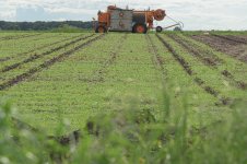 _7826399.jpg _7826399.jpg