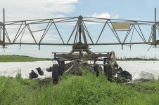 _7826388.jpg _7826388.jpg