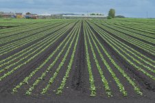 _7826375.jpg _7826375.jpg