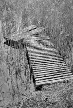 2$04CPMXBW23 Brandon Marsh stage.jpg