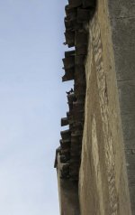 catonroof.jpg catonroof.jpg