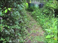 Garden path Ixus 70 IMG_4456.jpg Garden path Ixus 70 IMG_4456.jpg