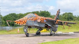 XX119_01.JPG XX119_01.JPG