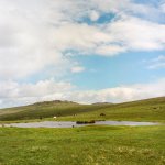 004 Roos Tor & The Watering Hole 65mm 02-000127150004 PS Adj.JPG