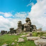 009 Gt Staple Tor 40mm 03-000127150009 PS Adj.JPG