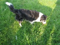 bess_c.JPG bess_c.JPG