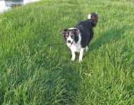 bess_1.jpg bess_1.jpg