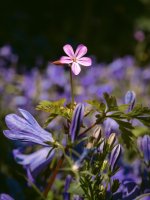 1000009331.jpg 1000009331.jpg