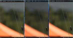 periphery check Windows Photo jpeg_Widows Photo raw_DPP converted to jpeg SCALED 2Y3A5287.JPG