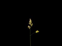 Minimalist 5.jpg Minimalist 5.jpg