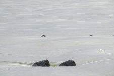 _7810506.jpg _7810506.jpg