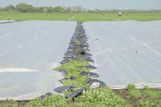 _7810499.jpg _7810499.jpg