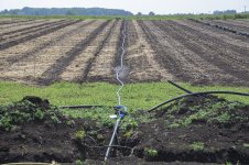 _7810492.jpg _7810492.jpg