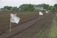 _7817023.jpg _7817023.jpg