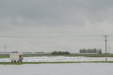 _7817028.jpg _7817028.jpg