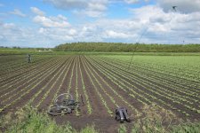 _7514212.jpg _7514212.jpg