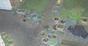 1-IMG-20240611-WA0000-1.jpg 1-IMG-20240611-WA0000-1.jpg