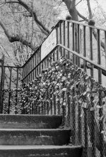 2404DPMXBW27 Steps.jpg