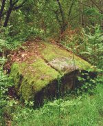 Etagnac Dolmen 3  Contarex 35mm_resize_9.jpg