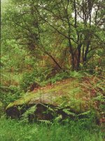 Etagnac Dolmen 2a Contarex_resize_98.jpg