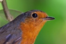 MAC_7385 File1 1.jpg MAC_7385 File1 1.jpg