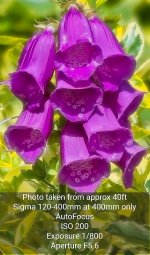 MAC_7497 File1.jpg MAC_7497 File1.jpg