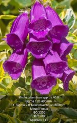 MAC_7503 File1.jpg MAC_7503 File1.jpg