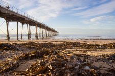 DSC06279.JPG DSC06279.JPG