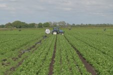 _7817192.jpg _7817192.jpg