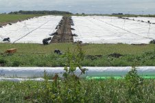 _7817186.jpg _7817186.jpg