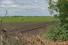 _7817182.jpg _7817182.jpg