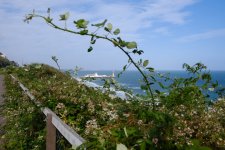 DSCF0026.jpeg DSCF0026.jpeg