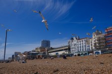 DSCF0061.jpeg DSCF0061.jpeg