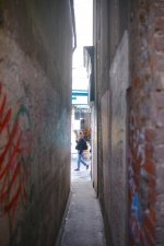 DSCF0082.jpeg DSCF0082.jpeg