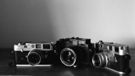 2020-11-09-trix1600-canon1v-ddx-19.jpg 2020-11-09-trix1600-canon1v-ddx-19.jpg