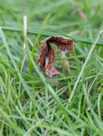 Week 24 - Decay-1.jpg