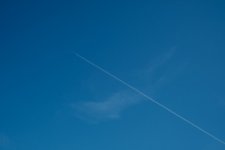 DSCF9915.jpeg DSCF9915.jpeg