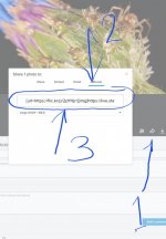 1000003369.jpg 1000003369.jpg