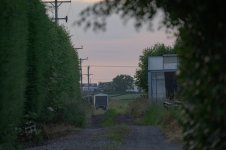 _7817516.jpg _7817516.jpg