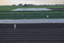 _7817492.jpg _7817492.jpg