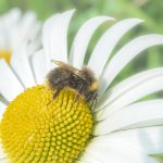 _7817570.jpg _7817570.jpg