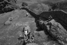 2405FPMXBW04 Perveril UN54.jpg