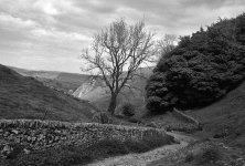 2405FPMXBW31 Cave Dale UN54.jpg