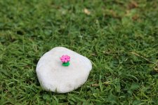 QG8A0798.jpg QG8A0798.jpg