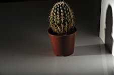 _DSC7708.jpg _DSC7708.jpg