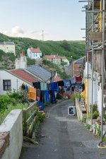 DSC06512.JPG DSC06512.JPG