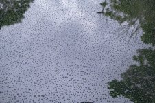 _7811000.jpg _7811000.jpg