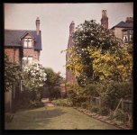 IMG_2650 AUTOCHROME.JPG IMG_2650 AUTOCHROME.JPG