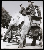 IMG_2736 LONDON ZOO PROBABLY.JPG IMG_2736 LONDON ZOO PROBABLY.JPG